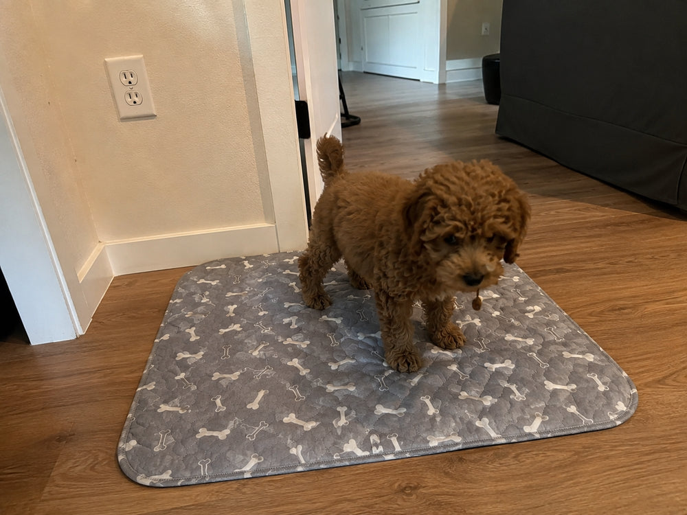 PEE PAD THAT WORKS WITH YOUR DOG’S INSTINCTS, NOT AGAINST THEM